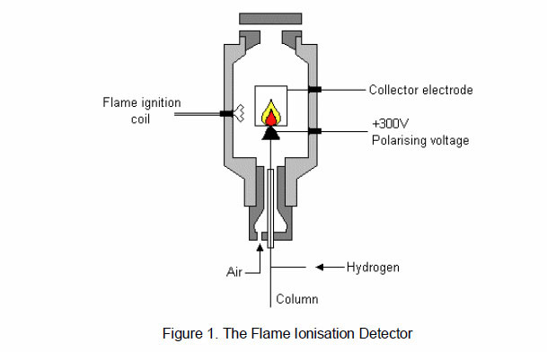 Flame Ionisation Detector